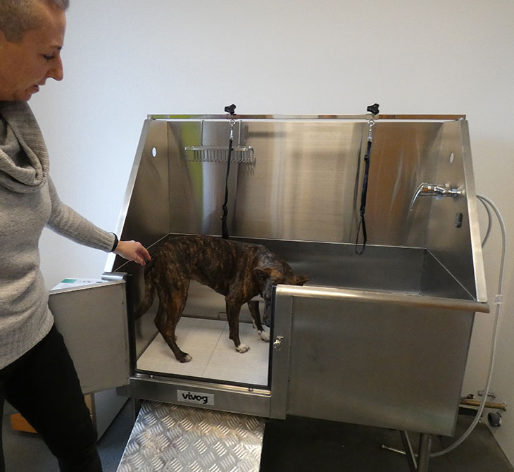 Hundesalon Fibi| Thalasso Behandlung